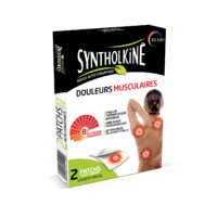 Eg Labo Syntholkiné patchs chauffants petits formats x2